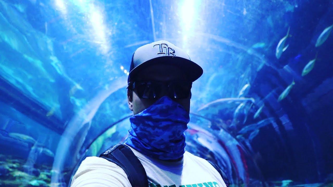 Florida Craft Beer Festival 2020 at SeaWorld Orlando