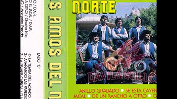 Los Amos Del Norte -- 15 Exitos Norteños (Album Completo)