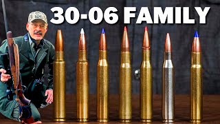 3006 Cartridge Family