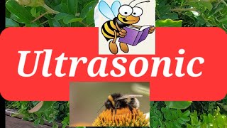 Bumble Bee - Buzz Pollination using ultrasonic vibration (Sonicate)