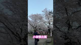 小諸懐古園