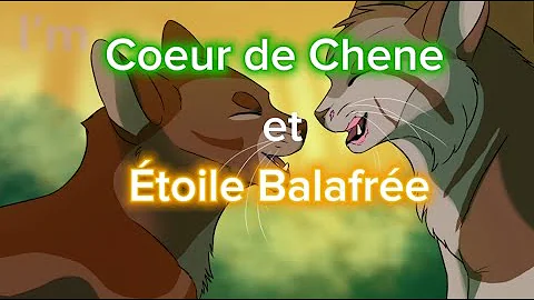 AMV LGDC Coeur de Chêne et Étoile Balafrée ( un thé name of love )