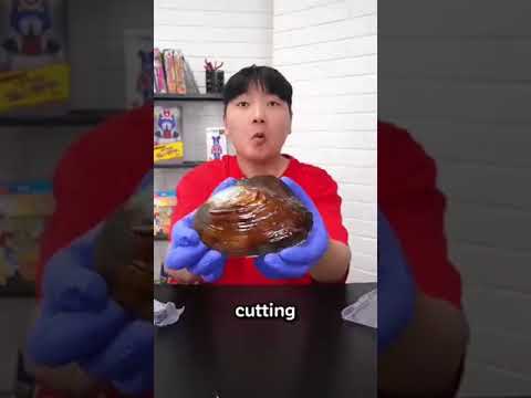 OMG #facts #shortvideo #shorts #ytshorts