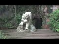 UNSEEN WONDERS_Hidden Places Even Locals Can't Believe exists_Travel Video 4k(720P_HD). mp4