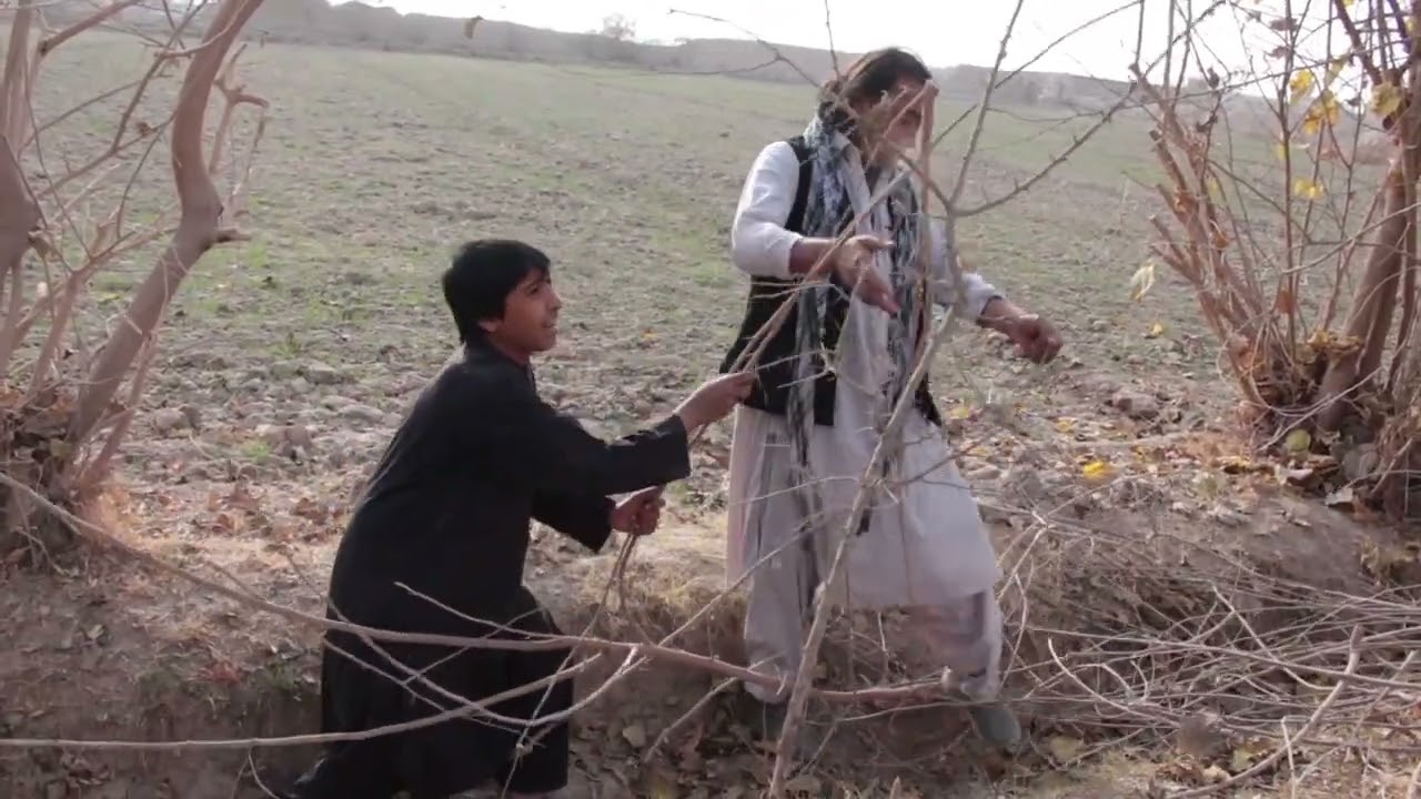  کفترهای دیوانه و اختلاف بین پسر کاکاها پایانی در بخش بک‌گروند صدا عذر ما را پذیرا باشید