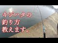 完全初心者のためのジカリグその2 アクション実践編!説明中に釣れてしまう!?