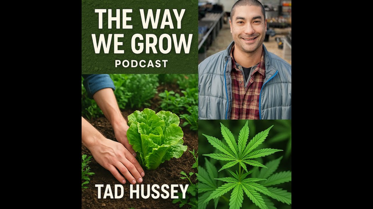 The Way We Grow, Ep. 22, With Tad Hussy: Keeping it simple, scientific and holistic in the garden.