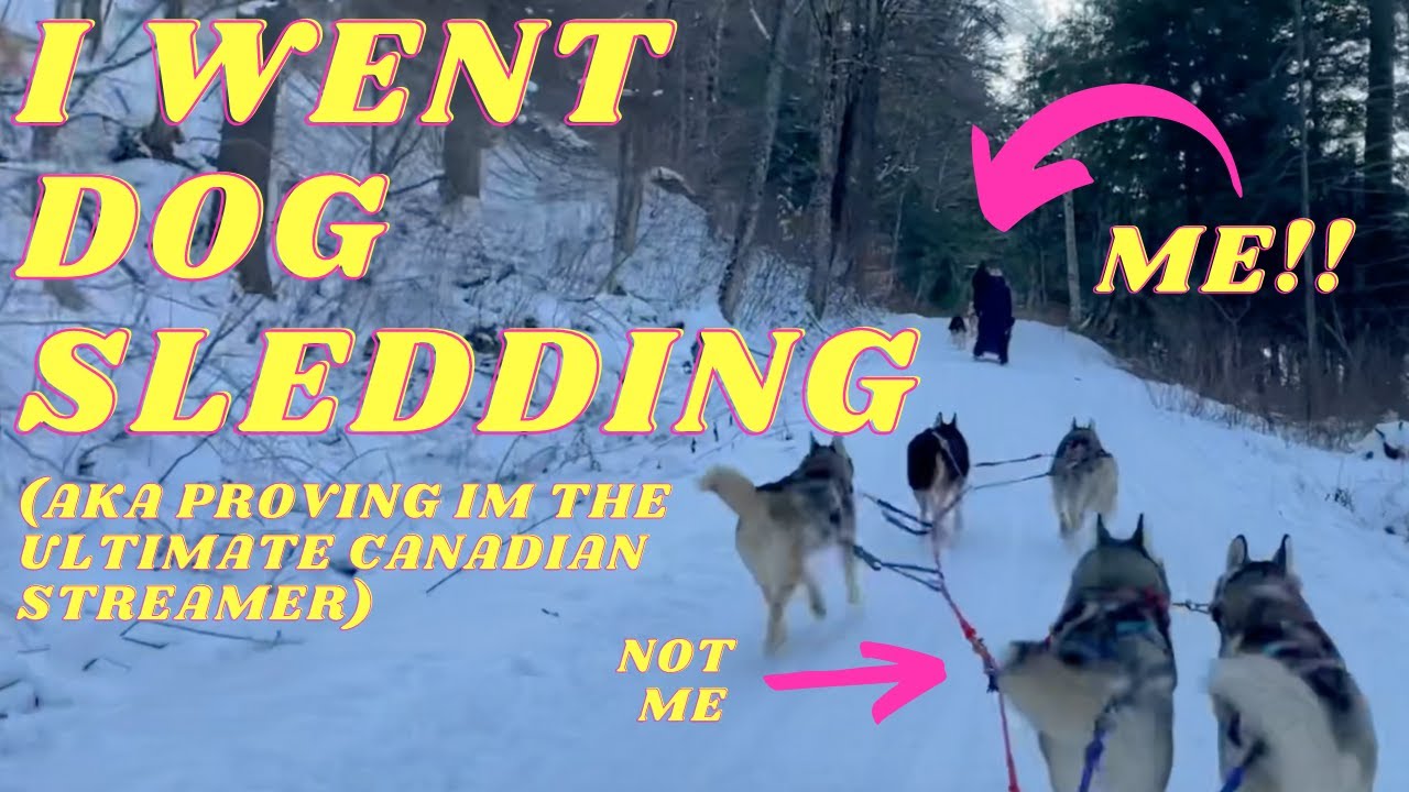 I WENT DOG SLEDDING!!