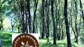 ¿Quieres casarte en un bosque en Asturias?. En Capilé Catering te ayudamos.
