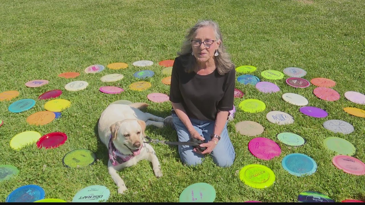Local dog helps community one lost frisbee golf disc at a time YouTube