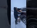 Buried Alive in Snow! Woman &amp; Corgi Trapped in Frozen Car #rescue #wildliferescue #dogrescue #shorts