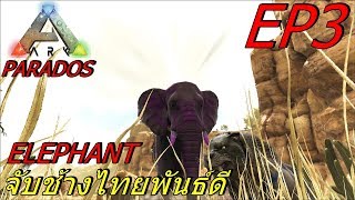 BGZ - ARK Parados EP#3 จับช้างไทยพันธ์ดี ELEPHANT