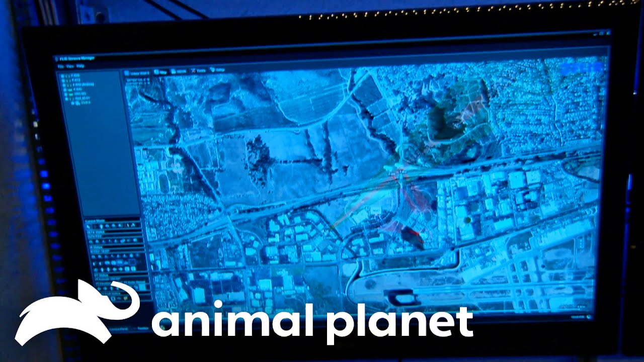 Most High Tech Bigfoot Night Search | Finding Bigfoot | Animal Planet