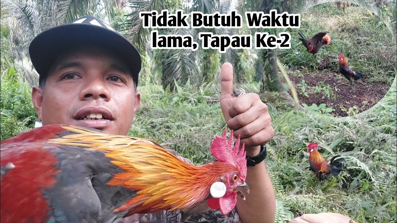 TANPA MENUNGGU LAMA LANSUNG TAPAU KE 2, 2 KALI MIKAT.