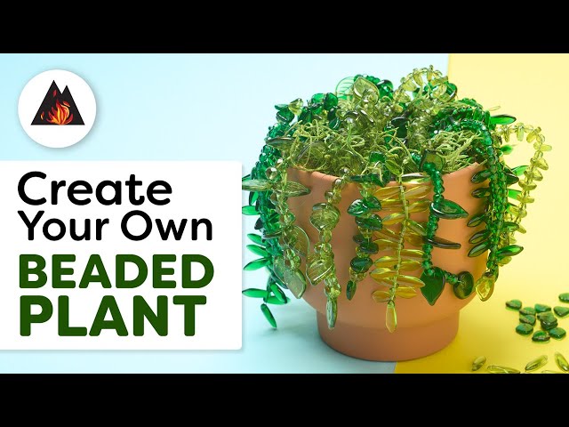 potted rosemary plant x3 Potted Rosemary Terracotta  Nest & Flowers