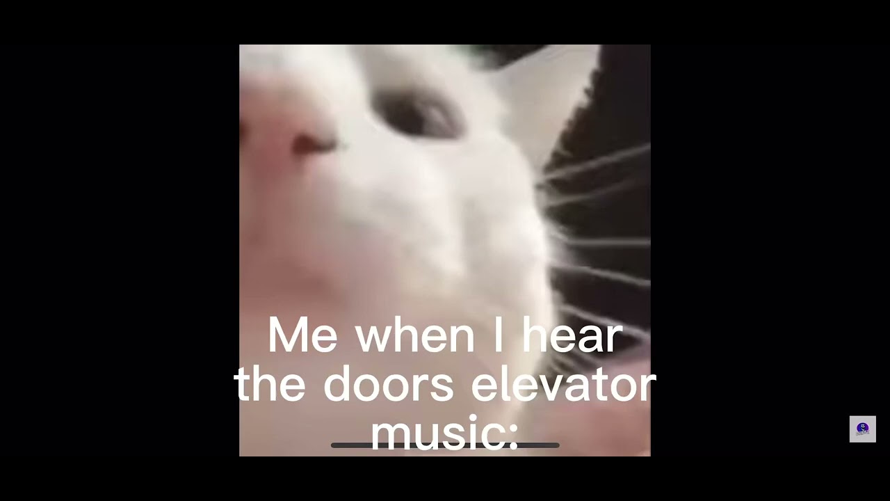 Me when I hear the Doors elevator music YouTube