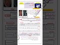 ملخص درس النمط الظاهري و المورثي 