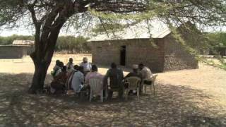 Forests for the 21st Century