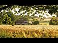 a quiet playlist for a simple may 🌿(reading / studying / writing) #7