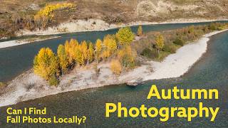 Hyper Local Autumn Photography in my Local Area
