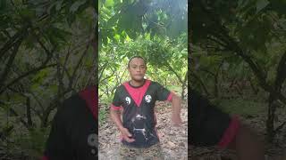 NUNCHAKU TUTORIAL 31.X-catch Redirect Movement