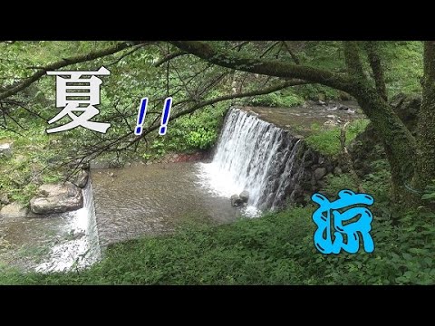 夏 涼しくなる動画 Youtube