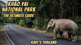 HIDDEN SECRETS of Khao Yai National Park – The ULTIMATE GUIDE
