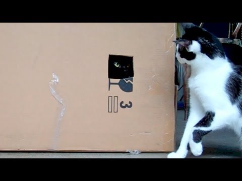 The Box - YouTube