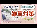 《雑草対策の新手法！？ダンボールマルチをやってみた！雑草地獄から抜け出す救世主！？》雑草を減らしてもっと気軽にガーデニングを楽しもう
