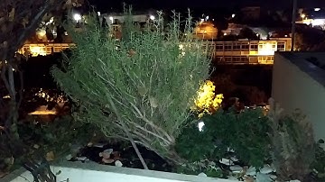 Nokia 7.2 - Night Video