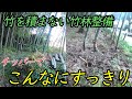 ≪竹林整備≫カルイのチッパーを使用して素敵な竹林ライフ！