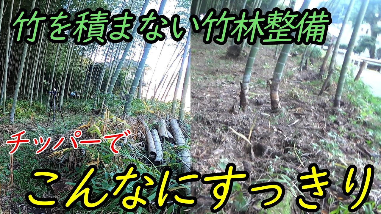 ≪竹林整備≫カルイのチッパーを使用して素敵な竹林ライフ！