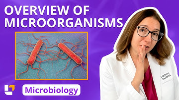 Overview of microorganisms: Microbiology for Pre-Med / Nursing Students |​⁠ @leveluprn