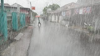 Heavy rain, thunderstorm in my village, immediately fell asleep to the sound of heavy rain by village rain vlog 3,675 views 2 months ago 3 hours, 1 minute