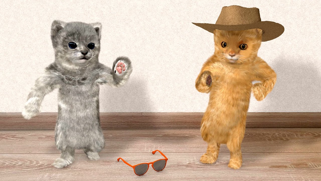 Two Dancing Cats Youtube