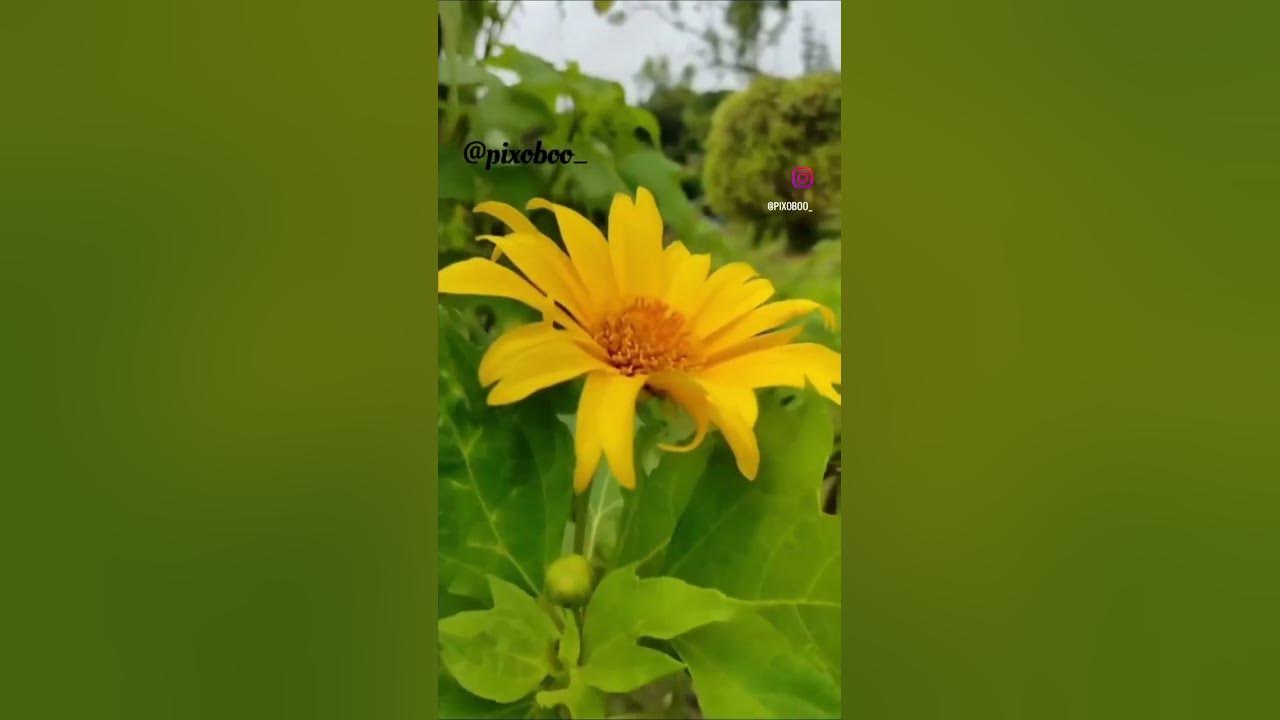 somewhere-far-away-youtube