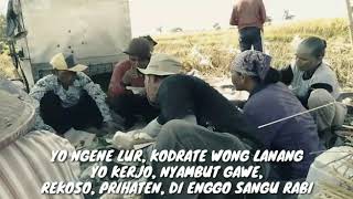 #storyWA wong lanang kui ora ngor mbagusi lan ngolek rai tapi nafkahi