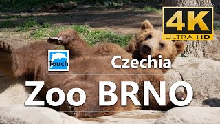 Zoo Brno, 4K #TouchCzechia