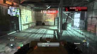 Spawnahawk on summit 2