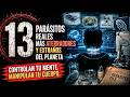 13 PARÁSITOS REALES que CONTROLAN MENTES 🧠 | Horror Biológico Documental