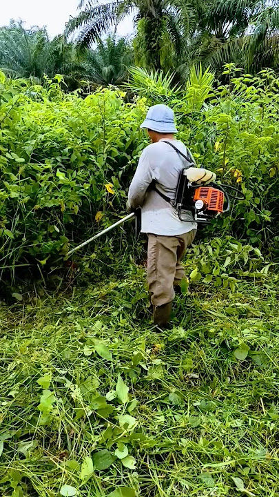 Stihl fr 3001 #rc84