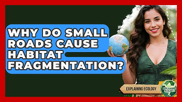 Why Do Small Roads Cause Habitat Fragmentation? - Explaining Ecology