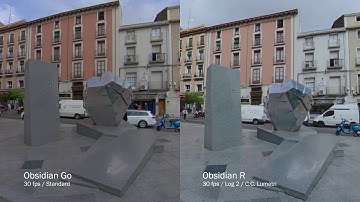 Kandao Obsidian Go Vs. Obsidian R