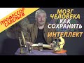 Профессор Савельев - мозг взрослого, как сохранить интеллект?