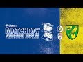Highlights: Blues 2 Norwich City 2 | Sky Bet Championship