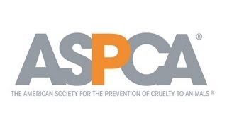 ASPCA Transport 2013