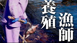 《島野浦島#2》最高の漁場...タイとカンパチの養殖業者に潜入