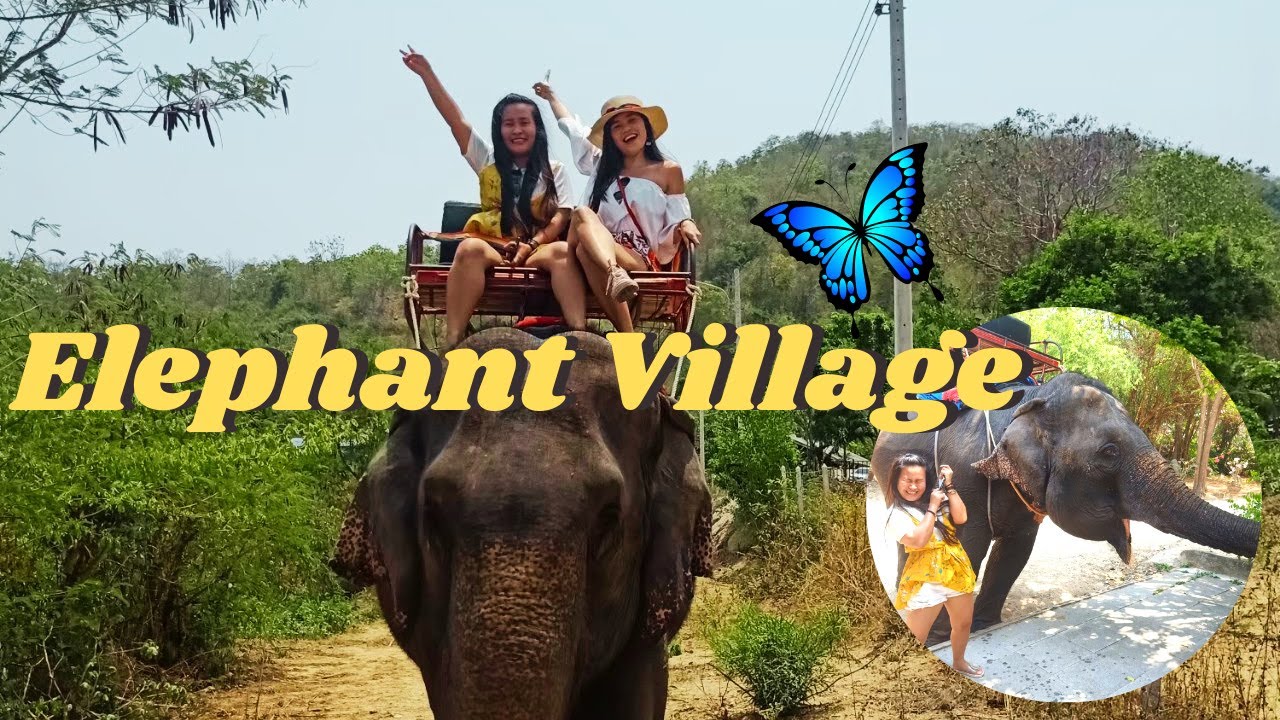ELEPHANT VILLAGE HUAHIN ELEPHANT RIDE WHAT TO DO IN HUAHIN AMAZING