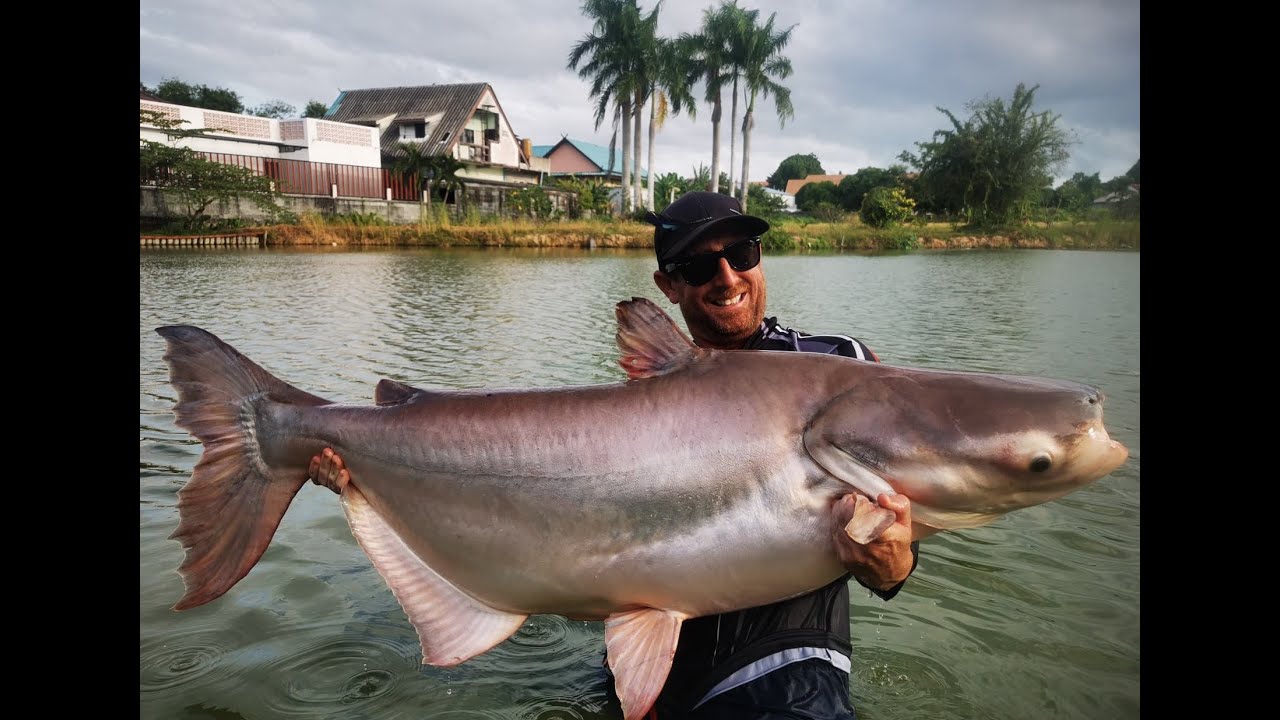 Fishing in Thailand at Sintara Lake Pattaya £2 a rod lake, June 2021