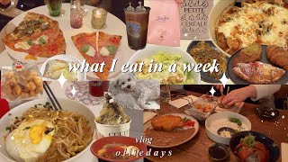 food vlog 🍕what I eat in a week living in nyc 연어덮밥,돈까스,삼각김밥,커피,치즈 로제찜닭,잡채밥,일본편의점,피자,파스타,크로아상 먹방브이로그